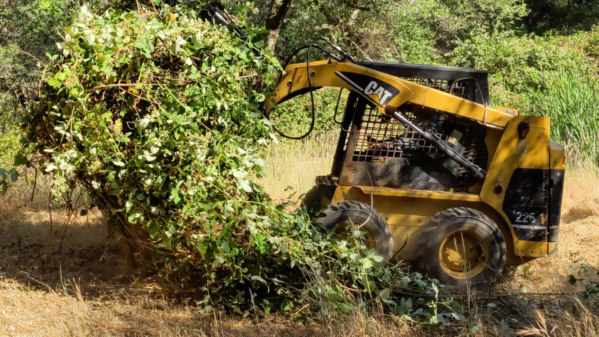 Land Clearing & Brush Removal